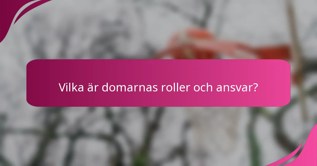 Vilka är domarnas roller och ansvar?